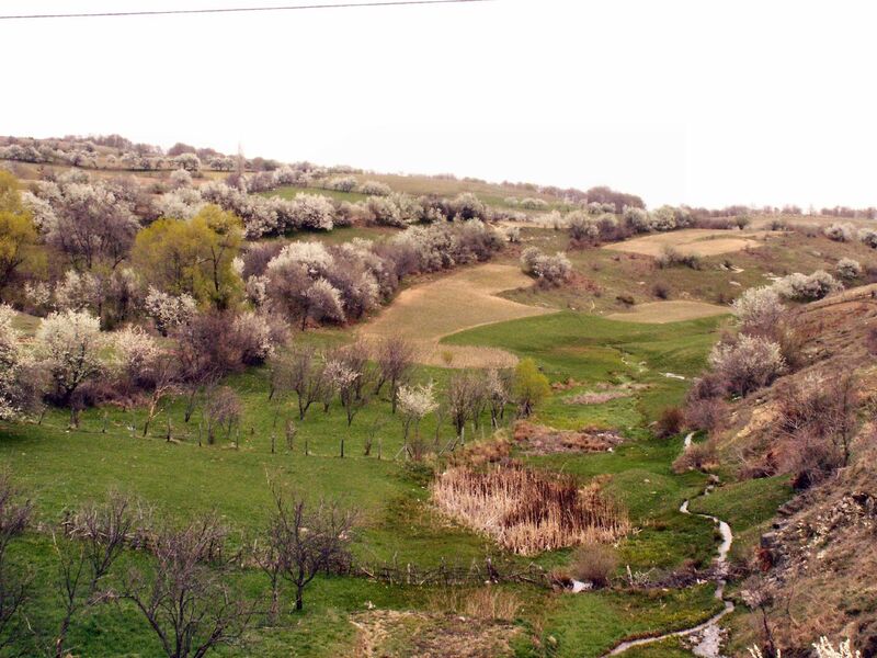Kruševo
